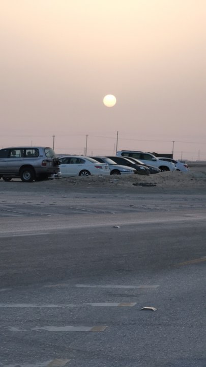 مشاركاتي في أنت الراصد