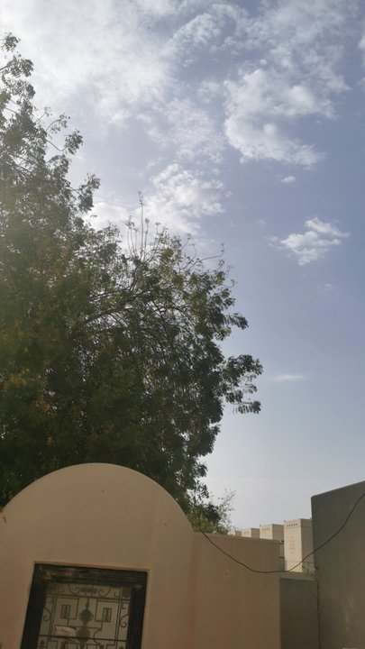 مشاركاتي في أنت الراصد