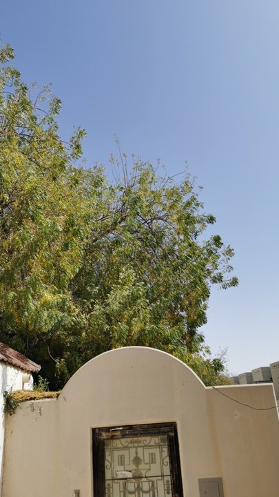 مشاركاتي في أنت الراصد