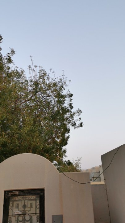 مشاركاتي في أنت الراصد