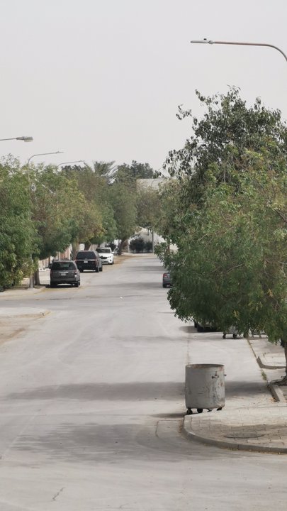 مشاركاتي في أنت الراصد