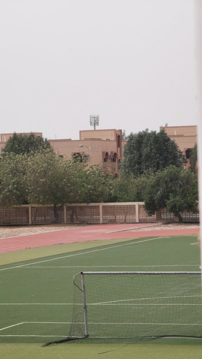 مشاركاتي في أنت الراصد