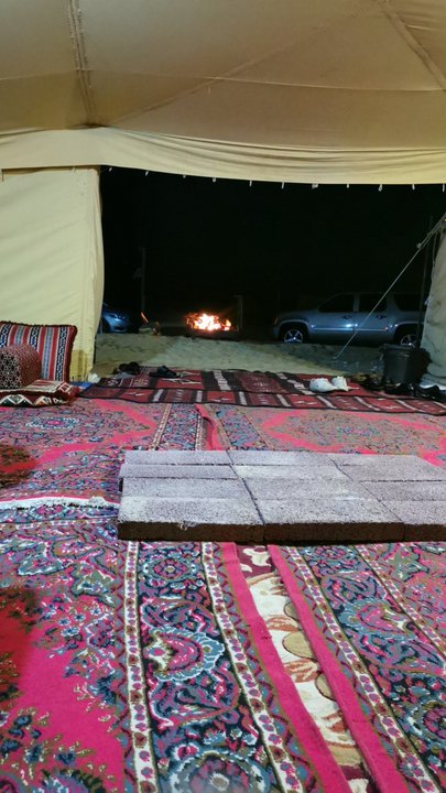 مشاركاتي في أنت الراصد