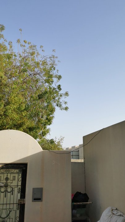 مشاركاتي في أنت الراصد