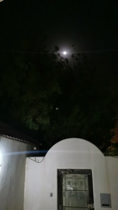 مشاركاتي في أنت الراصد