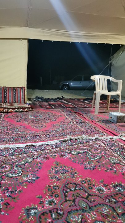 مشاركاتي في أنت الراصد