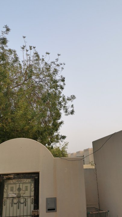 مشاركاتي في أنت الراصد