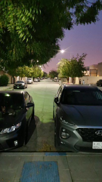 مشاركاتي في أنت الراصد