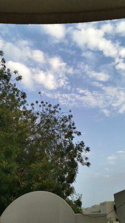 مشاركاتي في أنت الراصد