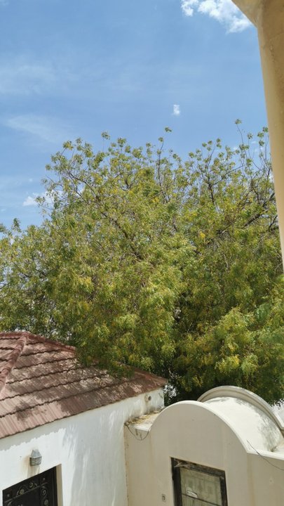 مشاركاتي في أنت الراصد