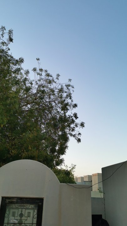 مشاركاتي في أنت الراصد