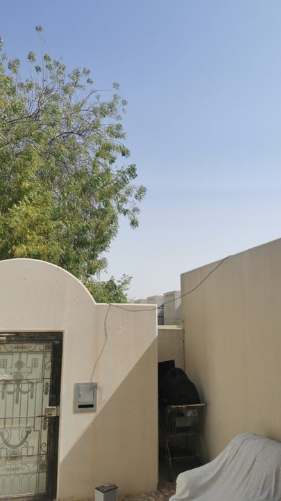 مشاركاتي في أنت الراصد