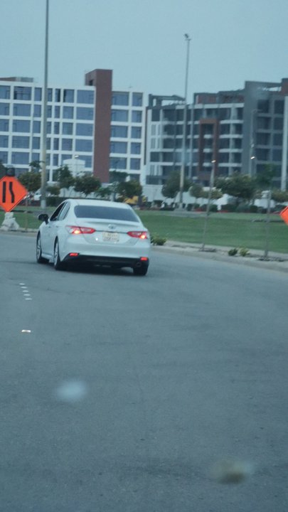 مشاركاتي في أنت الراصد