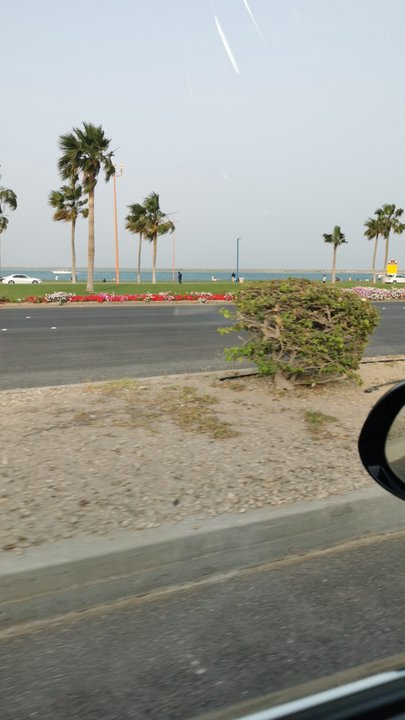 مشاركاتي في أنت الراصد