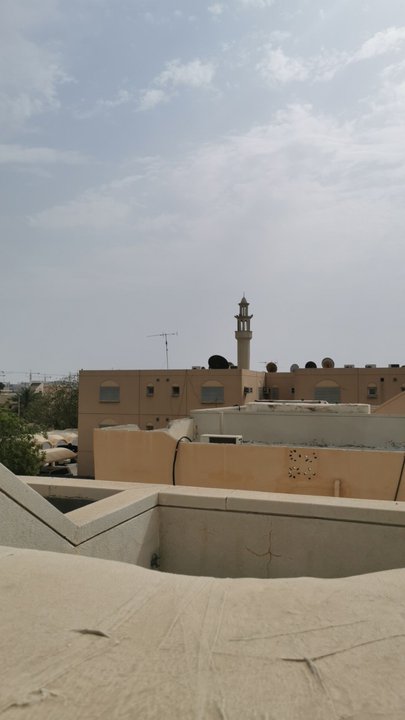 مشاركاتي في أنت الراصد