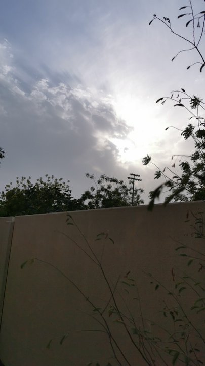 مشاركاتي في أنت الراصد