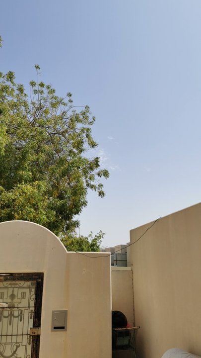 مشاركاتي في أنت الراصد