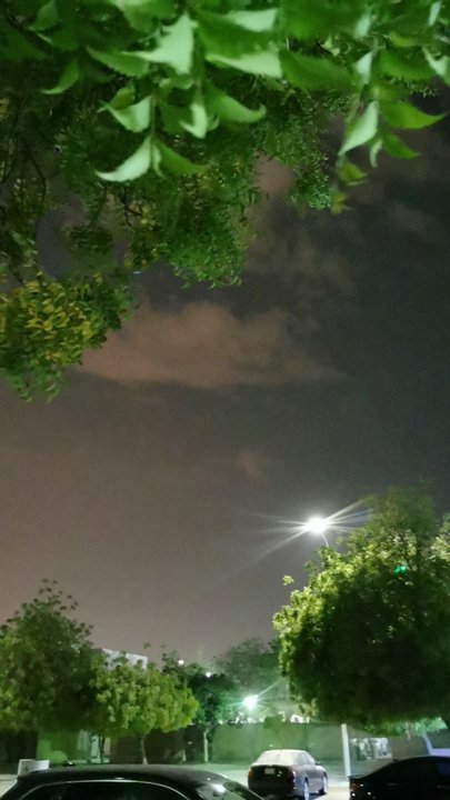 مشاركاتي في أنت الراصد