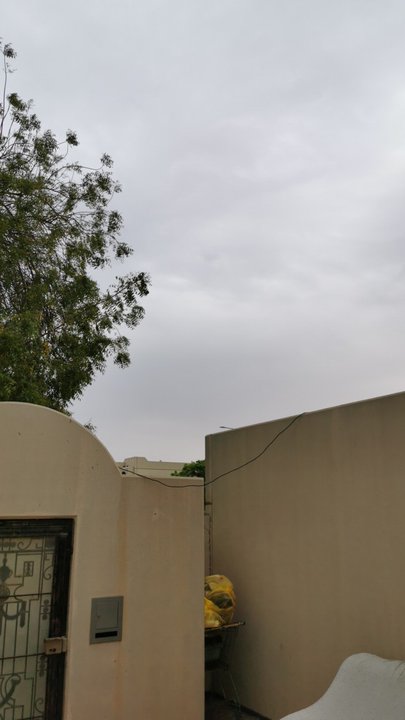 مشاركاتي في أنت الراصد