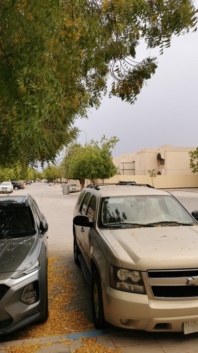 مشاركاتي في أنت الراصد