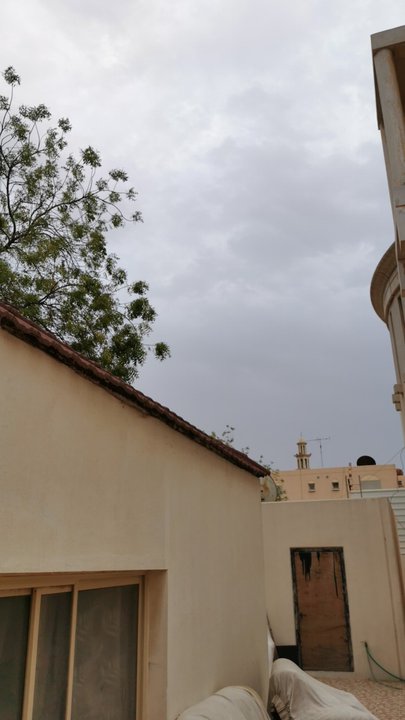 مشاركاتي في أنت الراصد