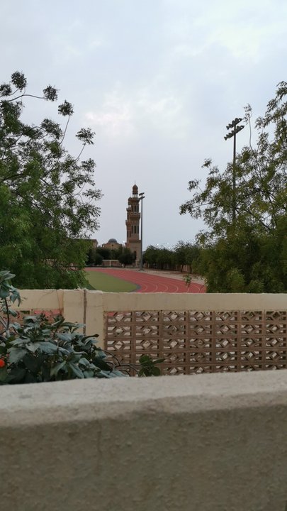 مشاركاتي في أنت الراصد