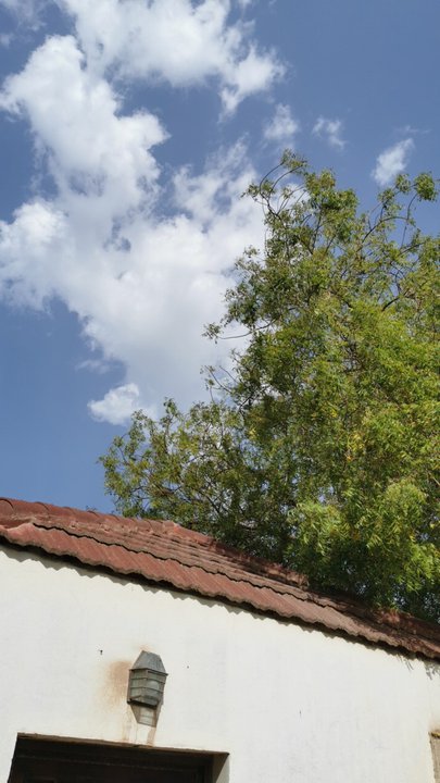 مشاركاتي في أنت الراصد