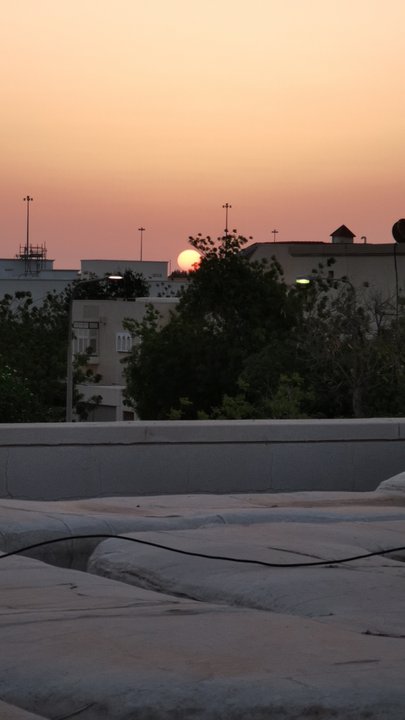 مشاركاتي في أنت الراصد