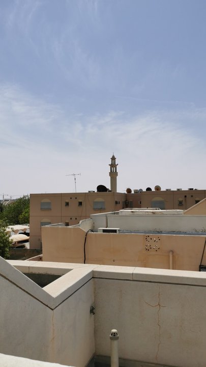 مشاركاتي في أنت الراصد