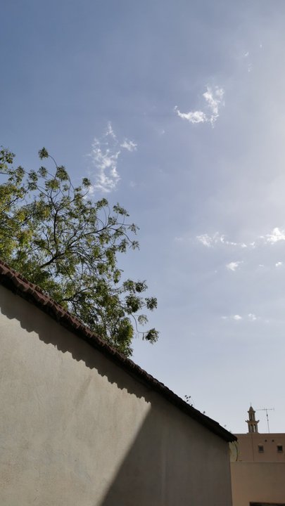 مشاركاتي في أنت الراصد