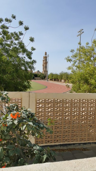 مشاركاتي في أنت الراصد