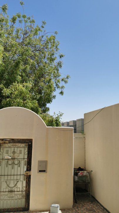 مشاركاتي في أنت الراصد