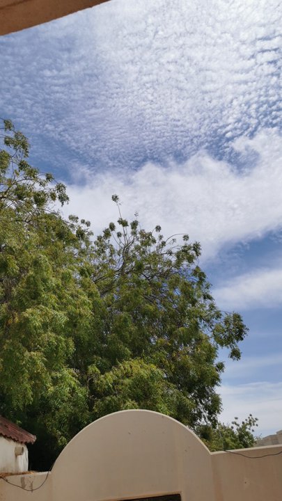 مشاركاتي في أنت الراصد