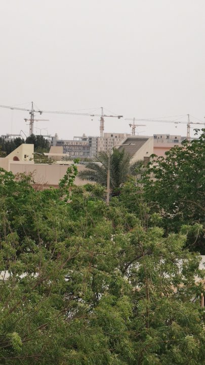 مشاركاتي في أنت الراصد