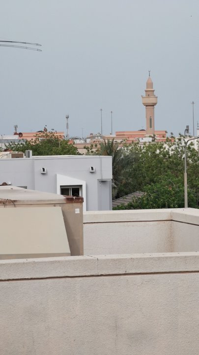 مشاركاتي في أنت الراصد