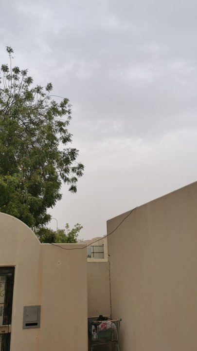 مشاركاتي في أنت الراصد