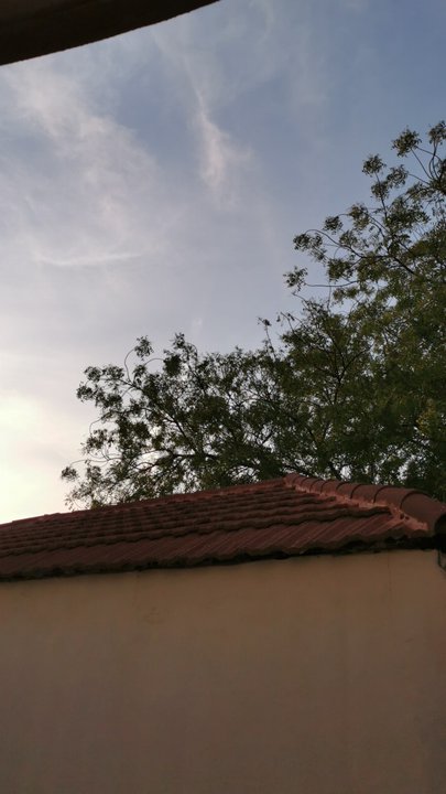 مشاركاتي في أنت الراصد