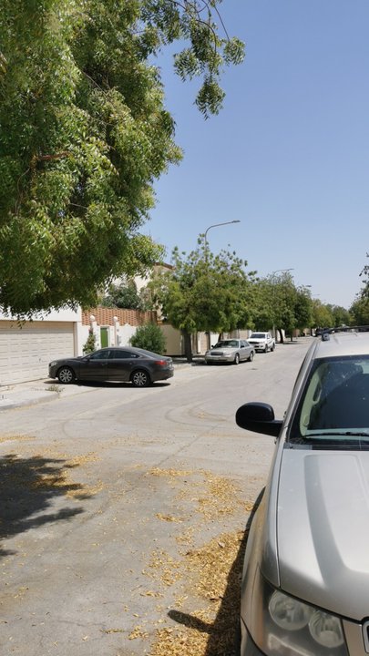 مشاركاتي في أنت الراصد