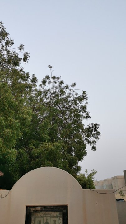 مشاركاتي في أنت الراصد