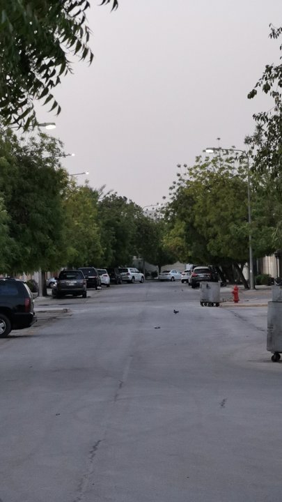 مشاركاتي في أنت الراصد