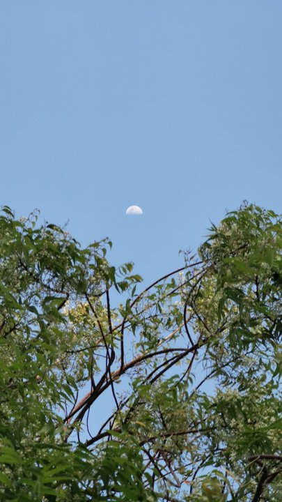 مشاركاتي في أنت الراصد