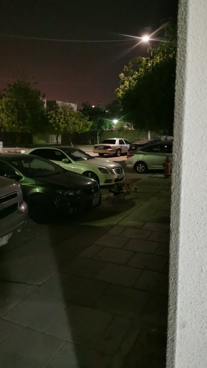 مشاركاتي في أنت الراصد