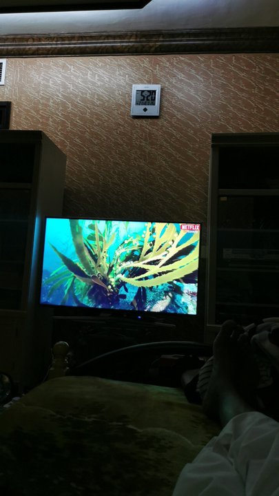 مشاركاتي في أنت الراصد