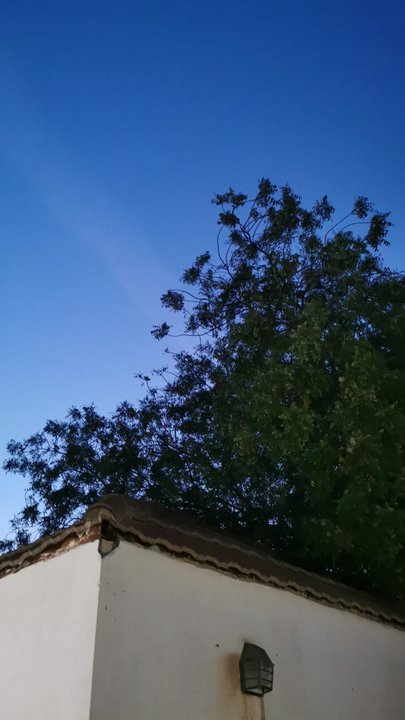 مشاركاتي في أنت الراصد