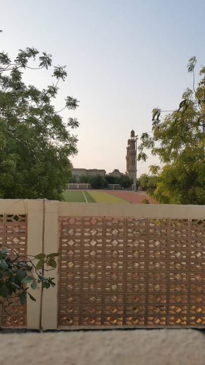 مشاركاتي في أنت الراصد