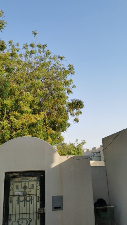 مشاركاتي في أنت الراصد