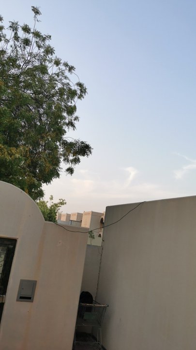 مشاركاتي في أنت الراصد