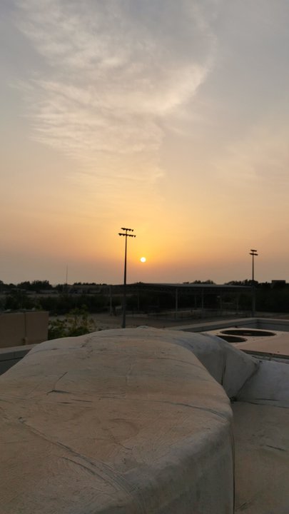 مشاركاتي في أنت الراصد