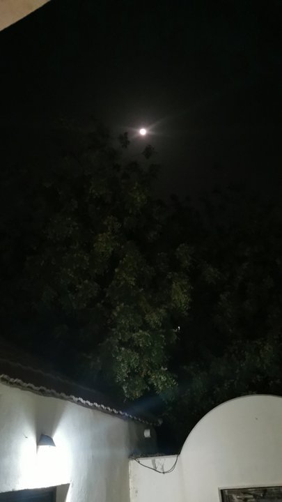 مشاركاتي في أنت الراصد