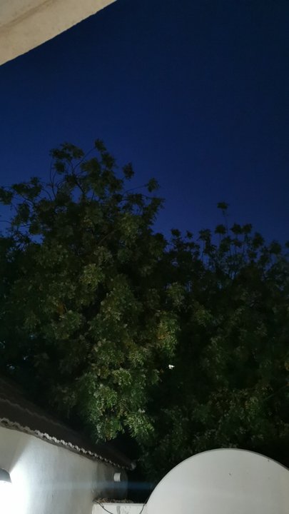 مشاركاتي في أنت الراصد